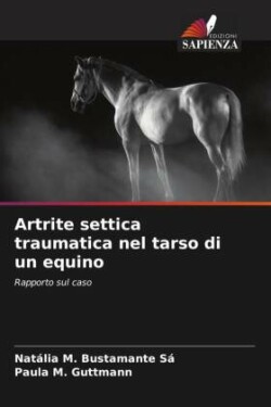 Artrite settica traumatica nel tarso di un equino