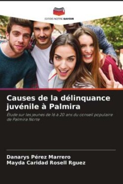 Causes de la délinquance juvénile à Palmira