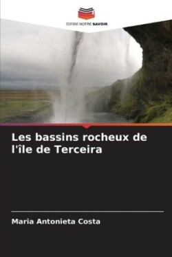 Les bassins rocheux de l'�le de Terceira