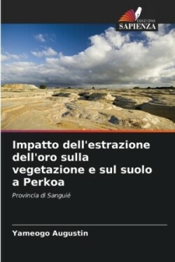 Impatto dell'estrazione dell'oro sulla vegetazione e sul suolo a Perkoa