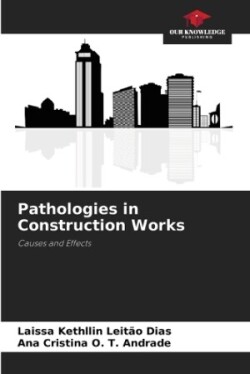 Pathologies in Construction Works