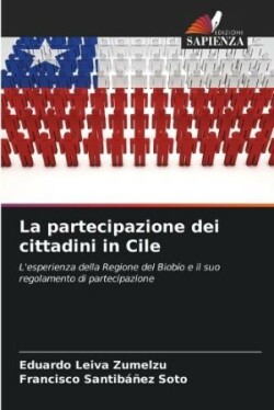 partecipazione dei cittadini in Cile