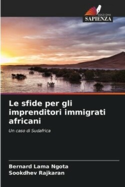 sfide per gli imprenditori immigrati africani