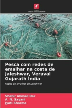 Pesca com redes de emalhar na costa de Jaleshwar, Veraval Gujarath �ndia