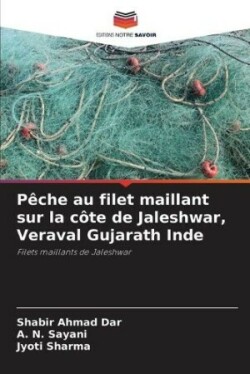 P�che au filet maillant sur la c�te de Jaleshwar, Veraval Gujarath Inde