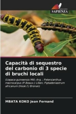 Capacit� di sequestro del carbonio di 3 specie di bruchi locali