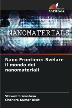 Nano Frontiere