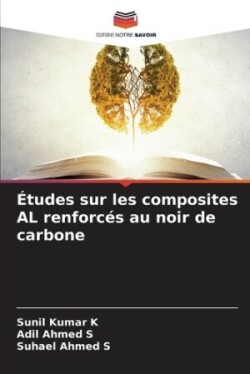 Études sur les composites AL renforcés au noir de carbone