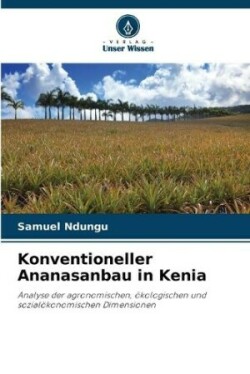 Konventioneller Ananasanbau in Kenia