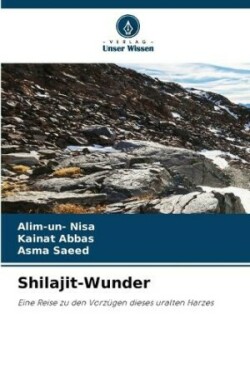 Shilajit-Wunder