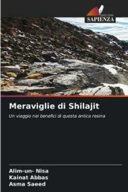 Meraviglie di Shilajit