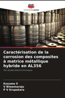 Caractérisation de la corrosion des composites à matrice métallique hybride en AL356