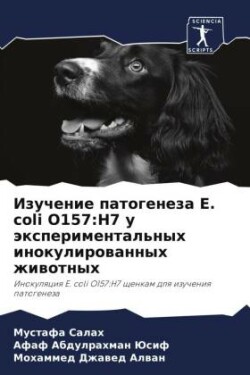 Изучение патогенеза E. coli O157