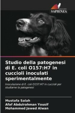 Studio della patogenesi di E. coli O157