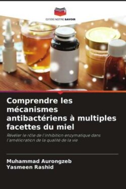 Comprendre les mécanismes antibactériens à multiples facettes du miel