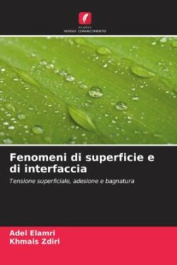 Fenomeni di superficie e di interfaccia