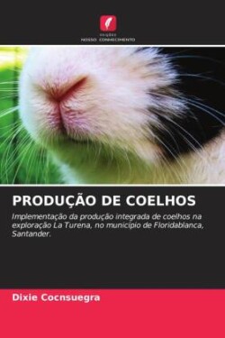 Produção de Coelhos