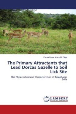 The Primary Attractants that Lead Dorcas Gazelle to Soil Lick Site