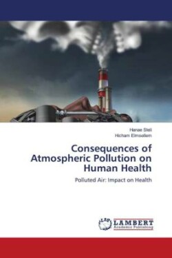 Consequences of Atmospheric Pollution on Human Health