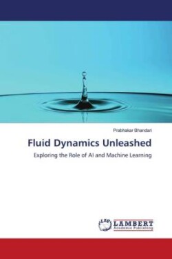 Fluid Dynamics Unleashed