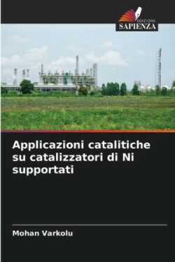 Applicazioni catalitiche su catalizzatori di Ni supportati