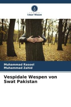 Vespidale Wespen von Swat Pakistan