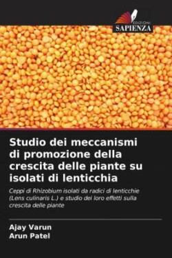 Studio dei meccanismi di promozione della crescita delle piante su isolati di lenticchia