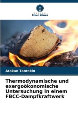 Thermodynamische und exergoökonomische Untersuchung in einem FBCC-Dampfkraftwerk