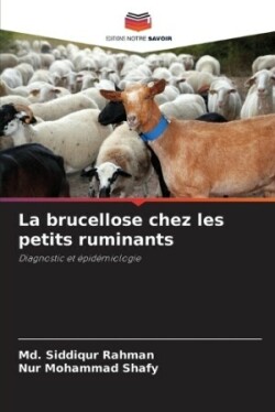 brucellose chez les petits ruminants