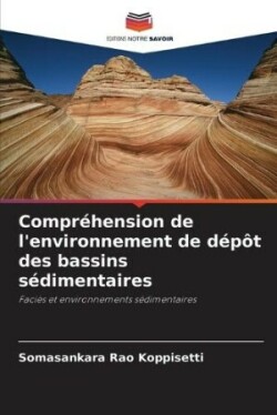 Compréhension de l'environnement de dépôt des bassins sédimentaires