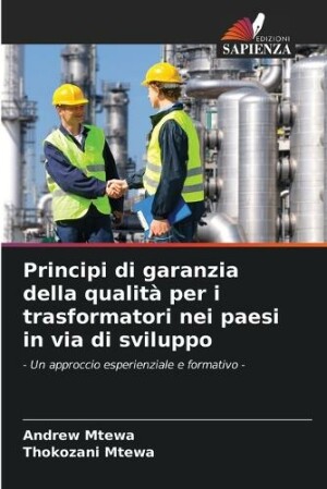 Principi di garanzia della qualità per i trasformatori nei paesi in via di sviluppo