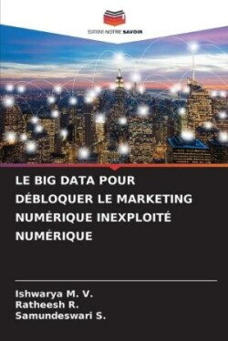 Big Data Pour Débloquer Le Marketing Numérique Inexploité Numérique