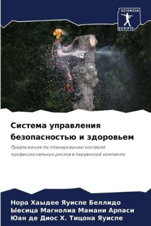 Система управления безопасностью и здоро