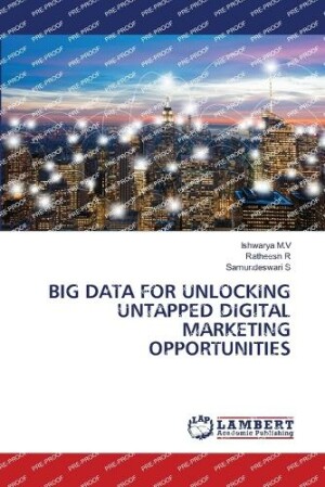 Big Data for Unlocking Untapped Digital Marketing Opportunities