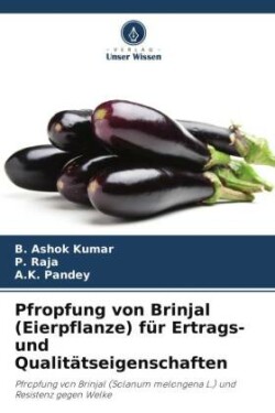 Pfropfung von Brinjal (Eierpflanze) f�r Ertrags- und Qualit�tseigenschaften