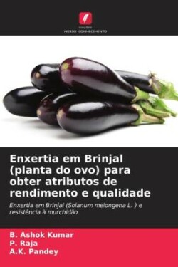 Enxertia em Brinjal (planta do ovo) para obter atributos de rendimento e qualidade