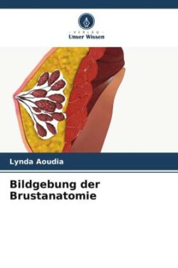 Bildgebung der Brustanatomie