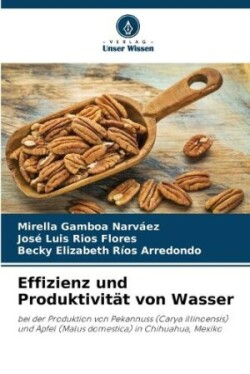 Effizienz und Produktivität von Wasser