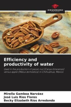 Efficiency and productivity of water