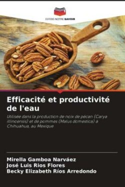 Efficacité et productivité de l'eau