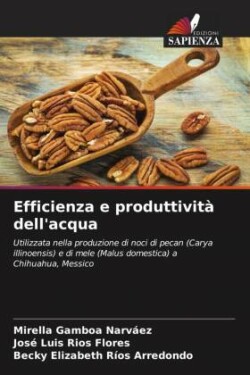 Efficienza e produttività dell'acqua