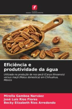 Eficiência e produtividade da água