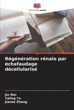 Régénération rénale par échafaudage décellularisé