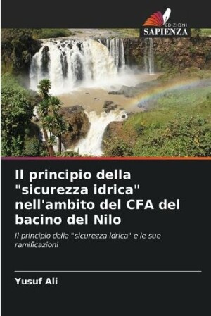 principio della "sicurezza idrica" nell'ambito del CFA del bacino del Nilo