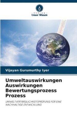 Umweltauswirkungen Auswirkungen Bewertungsprozess Prozess