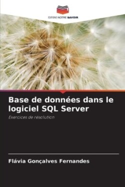 Base de données dans le logiciel SQL Server