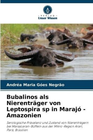 Bubalinos als Nierenträger von Leptospira sp in Marajó - Amazonien