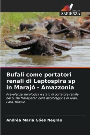 Bufali come portatori renali di Leptospira sp in Marajó - Amazzonia