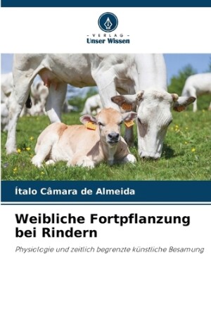 Weibliche Fortpflanzung bei Rindern