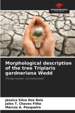 Morphological description of the tree Triplaris gardneriana Wedd